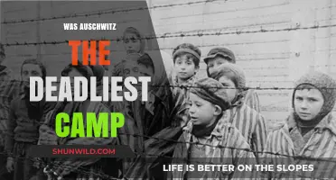 Auschwitz's Deadly Legacy: Uncovering the Most Lethal Nazi Camp