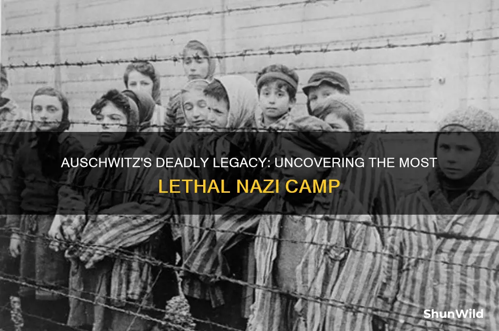 was auschwitz the deadliest camp