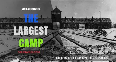 Auschwitz: The Largest Nazi Concentration Camp in History?