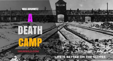 Auschwitz: Death Camp or Concentration Camp? Unraveling the Historical Truth