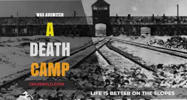 Auschwitz: Death Camp or Concentration Camp? Uncovering the Truth