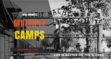 Auschwitz Complex: Unveiling the Network of Multiple Camps and Their Roles