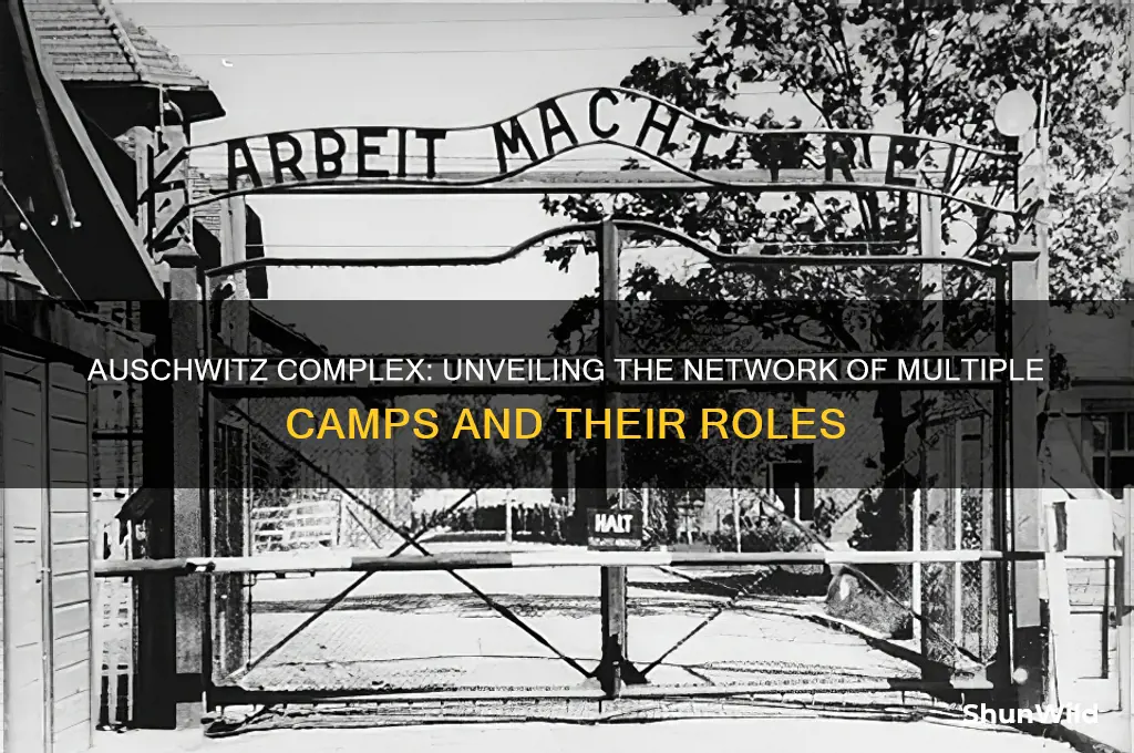 was auswitz multiple camps