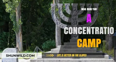 Babi Yar: Unraveling the Truth About Its Role in the Holocaust