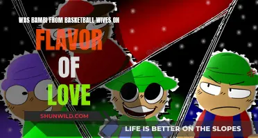 Flavor of Love: Bambi's Basketball Wives Journey
