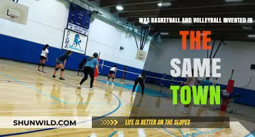 Basketball and Volleyball: Same Town, Different Sports