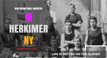 The True Birthplace of Basketball: Herkimer, NY?