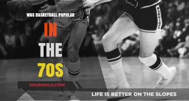 The Rise of Basketball in the 1970s: A Retrospective