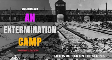 Was Birkenau an Extermination Camp? Uncovering the Dark Truth of Auschwitz