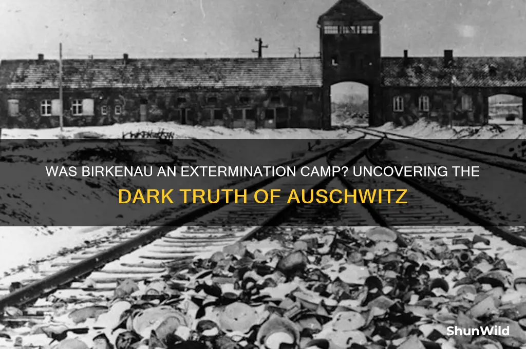 was birkanau an extermination camp