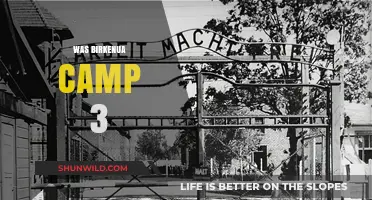 Birkenau Camp 3: Uncovering the Hidden History and Untold Stories