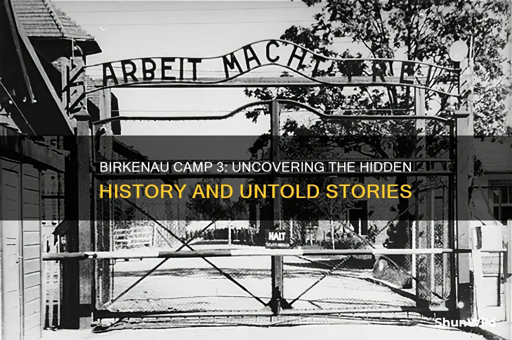 was birkenua camp 3