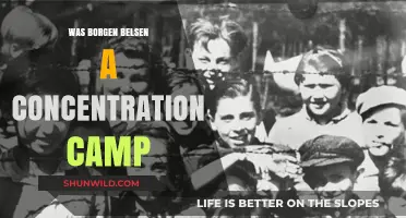 Was Bergen-Belsen a Concentration Camp? Uncovering the Historical Truth