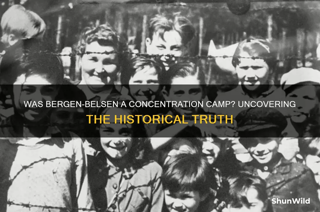 was borgen belsen a concentration camp