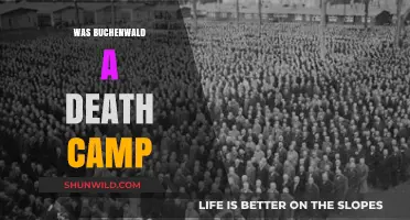 Buchenwald: Death Camp or Concentration Camp? Unraveling the Truth