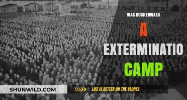 Buchenwald: Extermination Camp or Concentration Camp? Unraveling the Truth