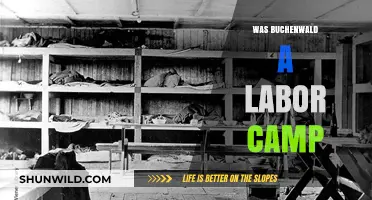 Was Buchenwald a Labor Camp? Uncovering the Truth and History