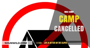 Was Camp Camp Cancelled? Unraveling the Fate of the Animated Series