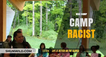 Camp Camp's Racial Representation: Analyzing Stereotypes and Cultural Sensitivity