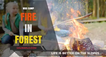 Was the Camp Fire in the Forest Preventable? Unraveling the Tragedy