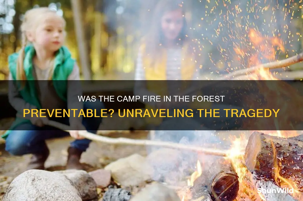 was camp fire in forest