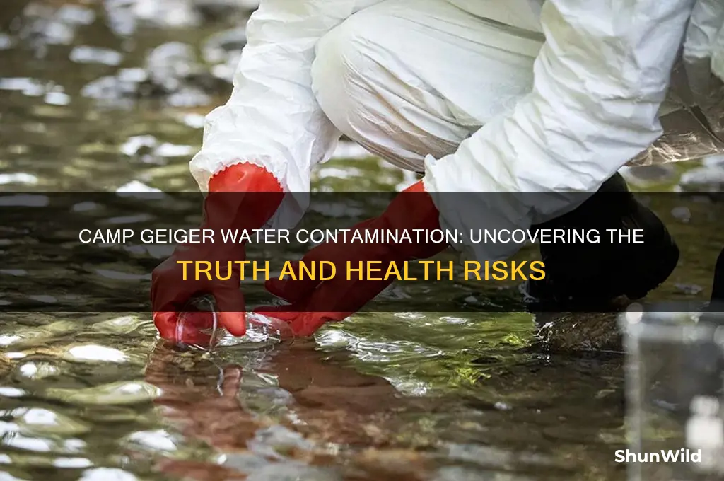 was camp geiger water contamination