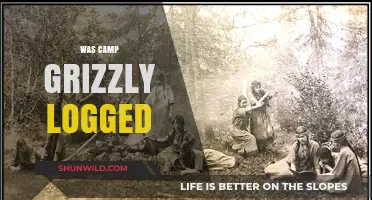 Was Camp Grizzly Logged? Uncovering the Truth Behind the Rumors