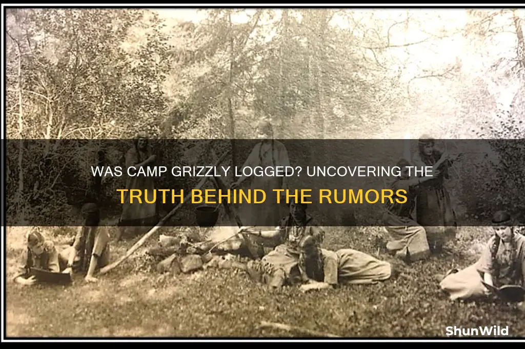 was camp grizzly logged