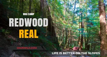 Uncovering the Truth: Was Camp Redwood a Real Location?