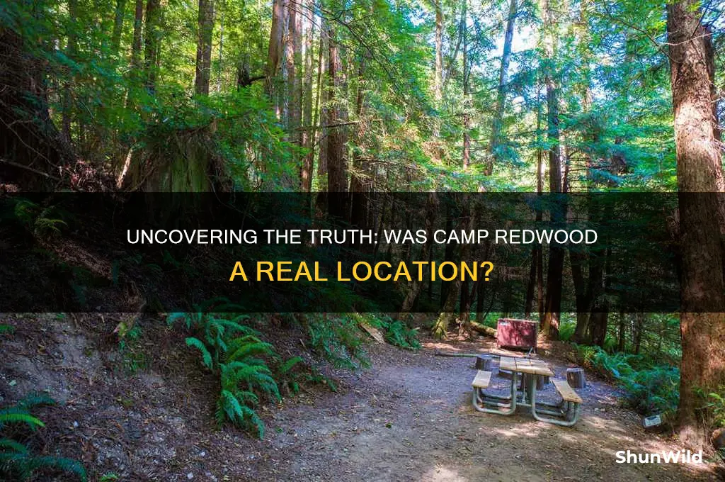 was camp redwood real