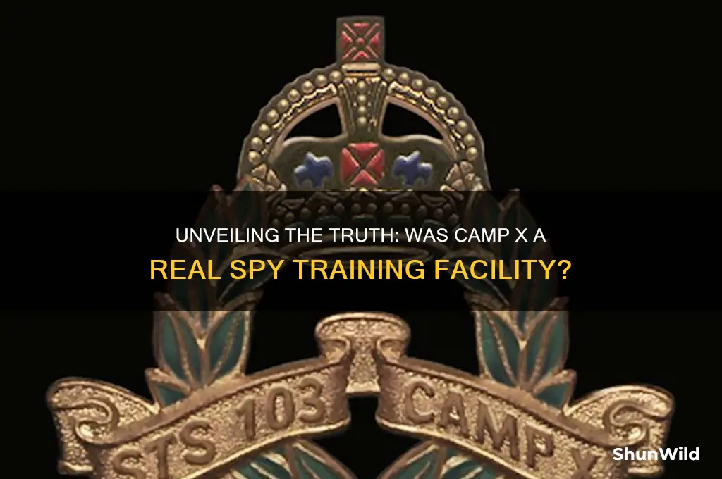 was camp x real