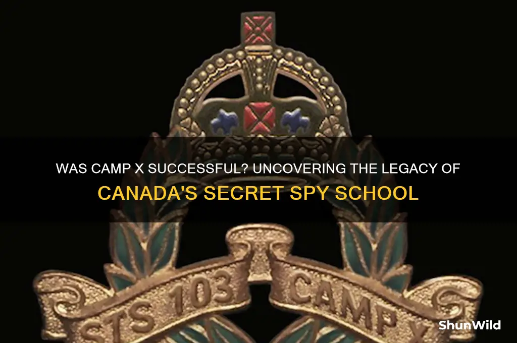 was camp x successful