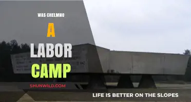 Chelmno: Labor Camp or Extermination Site? Uncovering the Truth