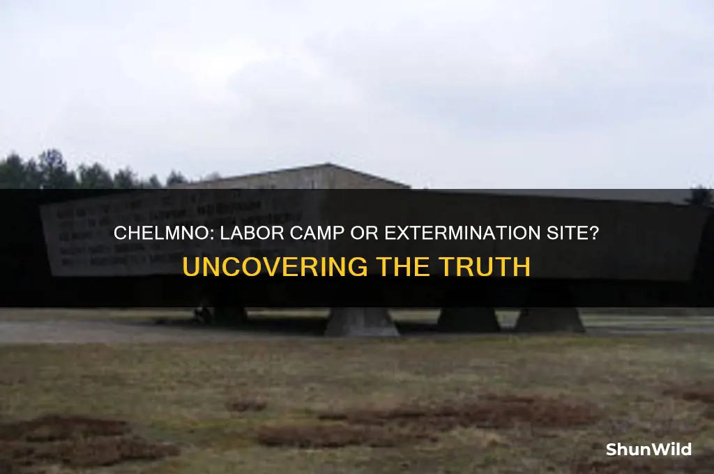 was chelmno a labor camp