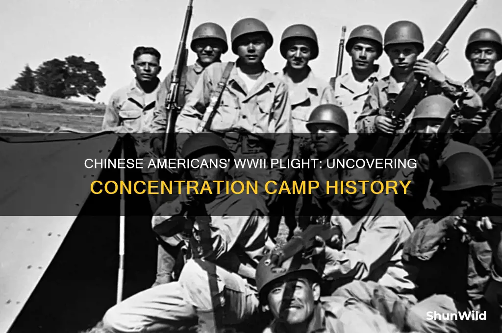 was chinease put in concentration camps during world war 2