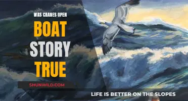 Crane's Open Boat Story: Fact or Fiction?