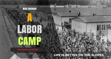 Dachau: Labor Camp or Something More Sinister?