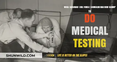 Dachau's Dark Legacy: Pioneering Medical Experiments in Nazi Camps