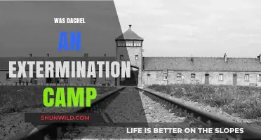 Dachel: Extermination Camp or Historical Misconception? Uncovering the Truth