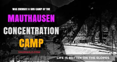 Ebensee: A Sub-Camp of Mauthausen Concentration Camp Explored