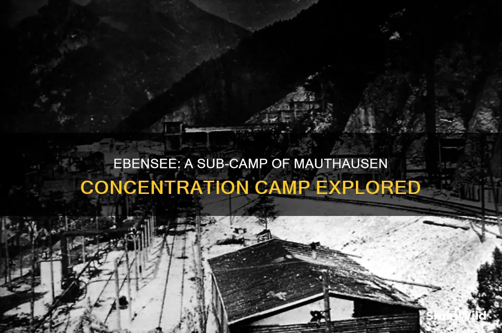 was ebensee a sub camp of the mauthausen concentration camp