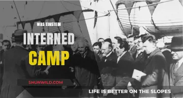 Einstein's Escape: Avoiding Internment Camps During World War II