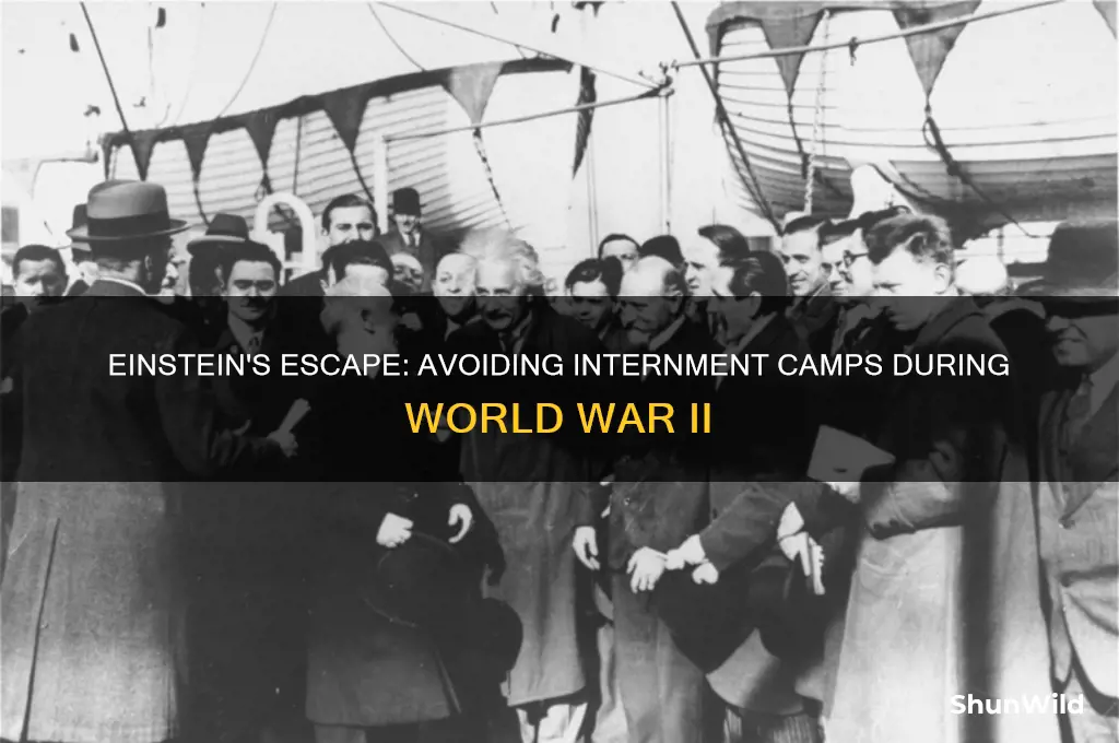 was einstein interned camp