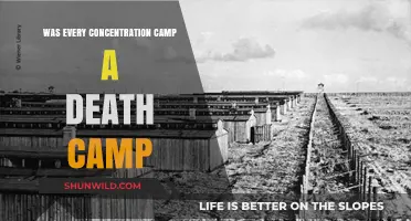 Concentration Camps vs. Death Camps: Understanding the Nazi Camp System