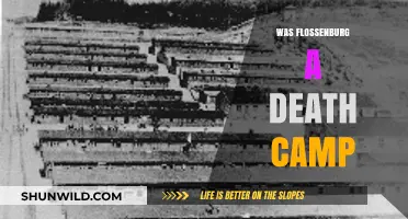 Flossenburg: Death Camp or Forced Labor Camp? Uncovering the Truth