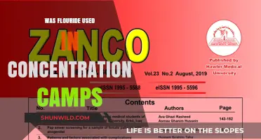 Fluoride in Concentration Camps: Uncovering Historical Claims and Facts