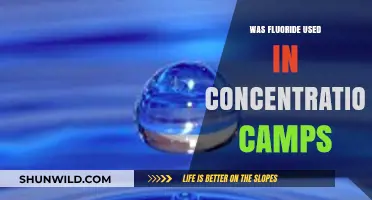Fluoride in Concentration Camps: Uncovering Historical Claims and Facts