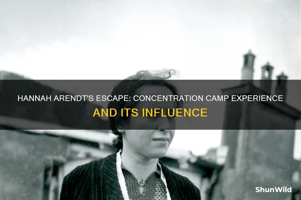 was hannah arendt in a concentration camp