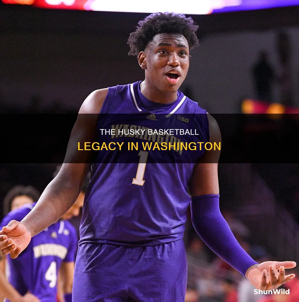 was hi ington husky basketball