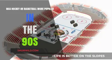 Which Sport Ruled the 90s: Basketball or Hockey?
